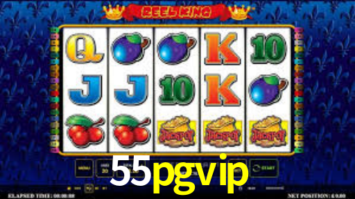 55pgvip.com