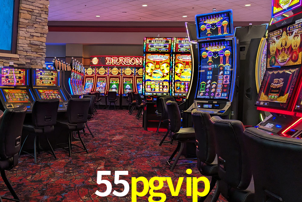 55pgvip.com